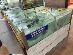 -寻味顺德·南记酒家·传统顺德菜·鱼生(广源路店)