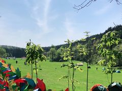 -武陵山森林公园