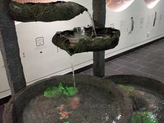 -荷花荡