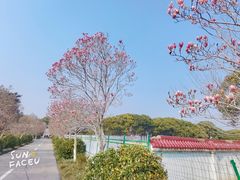 -凤凰沟景区