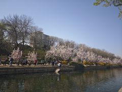 -元大都城垣遗址公园