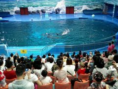 -多彩贵州城极地海洋世界