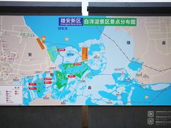 -白洋淀景区