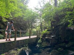 -藏龙百瀑风景区
