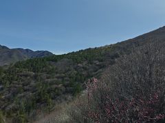 -翠云山银河滑雪场