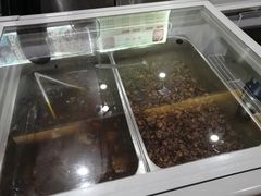 -鸿运兔·手撕烤兔(天府广场店)
