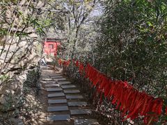 -少华山国家森林公园