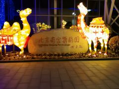 -南宫五洲植物乐园