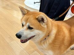 -塞拉瓦莱名品奥特莱斯