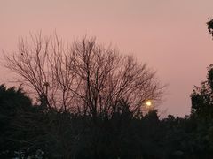 -静雅推拿(科院店)