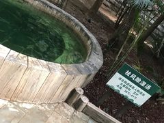 -龙达温泉生态城
