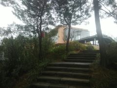 -千岛湖天屿景区