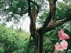 -公园前(地铁站)