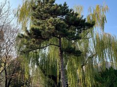 -国家植物园南园