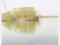 -大兴滨河森林公园