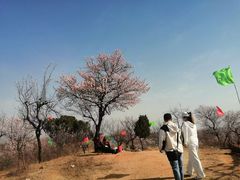 -杏花村文化旅游区