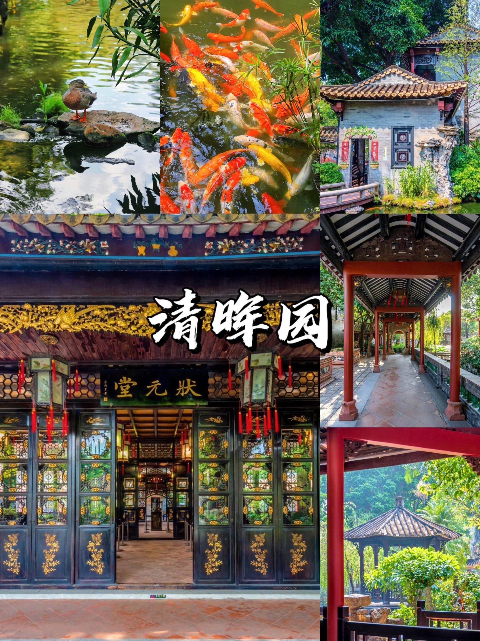 周末去哪玩?9个必打卡景点(顺德citywa