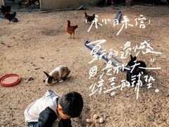 -甜心庄园·甜心草莓采摘园(西青中北店)