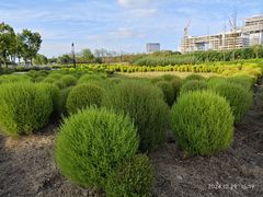 -春花秋色城市公园