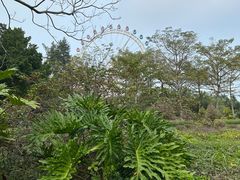 -白沙门生态公园