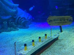 -沈阳海洋探索中心