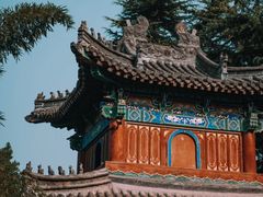 -洛阳白马寺