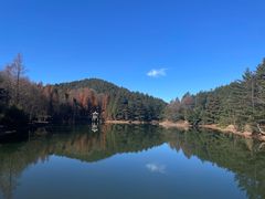 -四明山国家森林公园