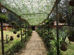 -北海金海湾红树林生态旅游区