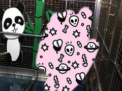 -339旋转餐厅(天府熊猫塔店)