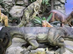 -国家自然博物馆