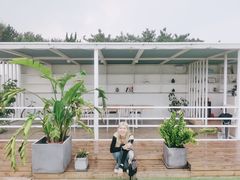 -海岛日记(养马岛店)