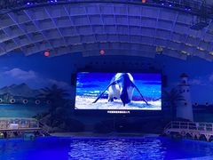 -海合安武汉极地海洋公园