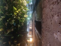 -外婆家(杭州马塍店·杭帮菜名店)