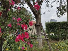 -五通灯塔公园