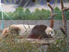 -西安秦岭野生动物园