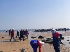 -巧克力渔家.小船海鲜胶东菜(万平口店)