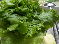 -爱膳菌锅锅(阳南店)