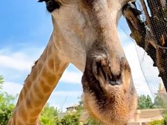 -栾川竹海野生动物园