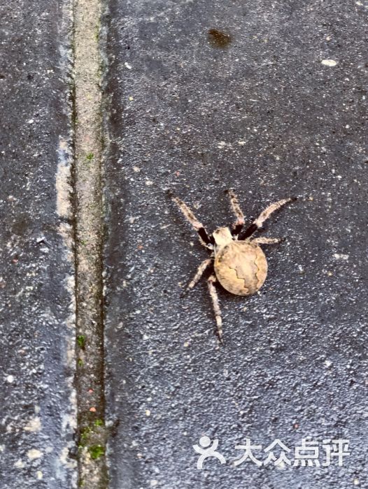 翠微茶社图片 - 第14张