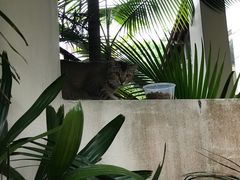 -巴拉湾海滩