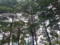 -二沙岛艺术公园