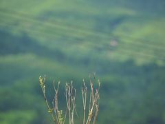 -云洞岩风景区