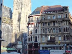 -斯蒂芬主教座堂(Stephansdom)