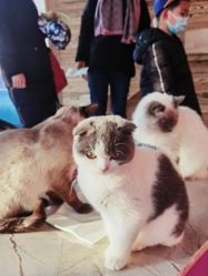 -萌宠亲子动物乐园(槐房万达店)