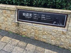 -自贡恐龙博物馆