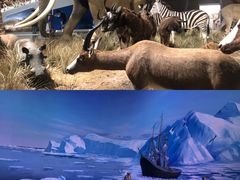 -贝林大翅鲸简餐厅(国家海洋博物馆店)