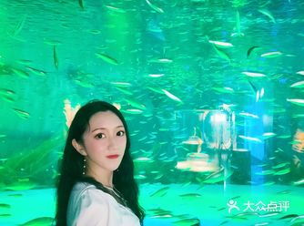 放假了一定要去的地方，上海海昌海洋公园