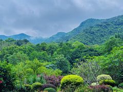 -深圳仙湖植物园