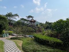 -顺峰山公园
