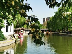 -团结湖公园